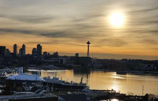 1 bed, 1 bath, 385 sqft, $1,695, Unit 504