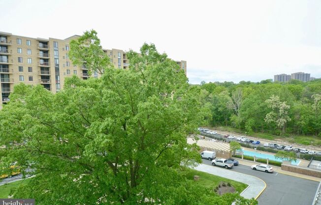 1 bed, 1 bath, $2,000, Unit Unit# 626