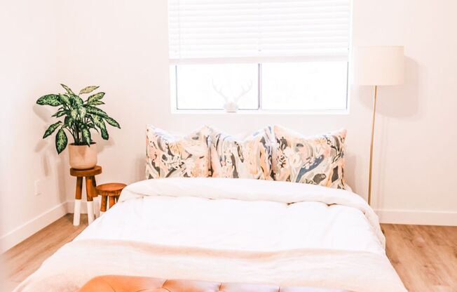 Haven Rio | Boutique Living in Mesa