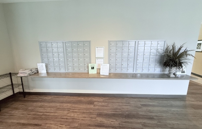 Studio, 1 bath, 477 sqft, $2,625, Unit 206