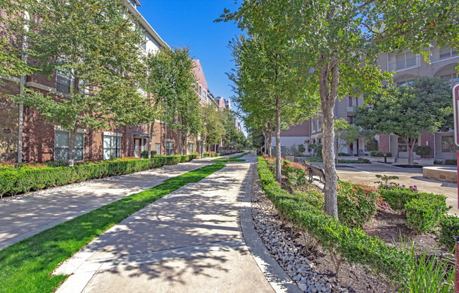 a tree lined sidewalk in front of some apartments