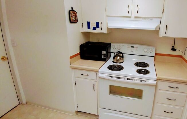 Studio, 1 bath, 300 sqft, $695, Unit 24