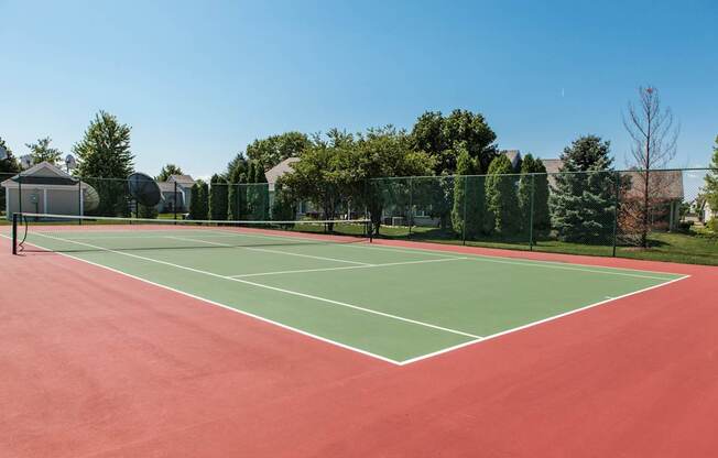 A tennis court with a net and trees in the background.