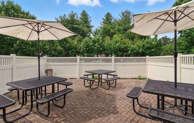 Grilling Patio/Picnic Area
