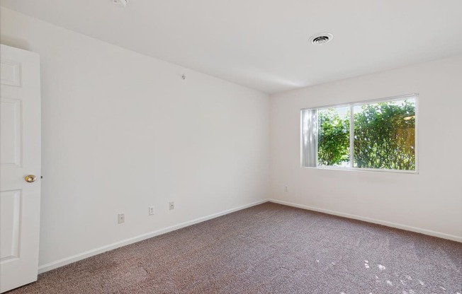 Bedroom with Plush Carpeting