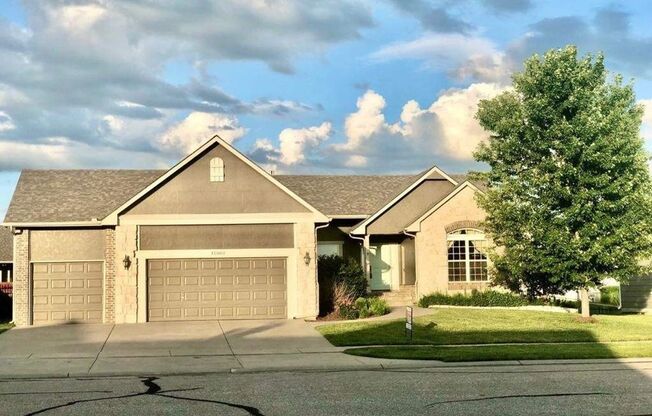 Beautiful Modern Home w/3 Car Garage, Fenced in Yard & Andover School District