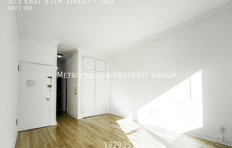 523 E 85th St