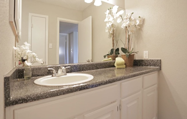 Bathroom sink and mirror