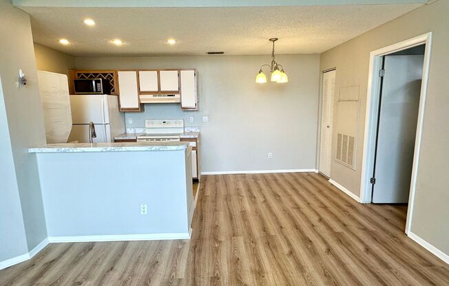 1 bed, 1 bath, $1,200, Unit Unit 307