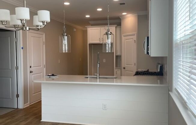 3 BR 2.5 BA-  New Construction Townhouse for RENT