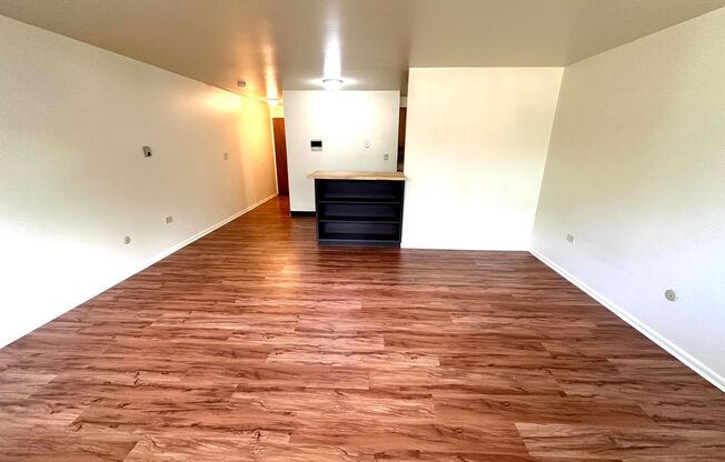 Studio, 1 bath, 450 sqft, $1,200