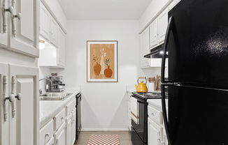 ReNew at Polo Parkway