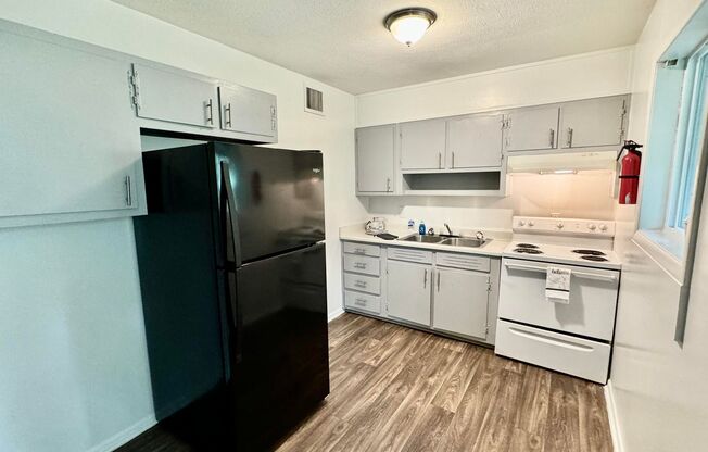 $500 OFF ON YOUR 1ST MOTNH RENT! FULLY RENOVATED WITH STAINLESS STEEL APPLIANCES!