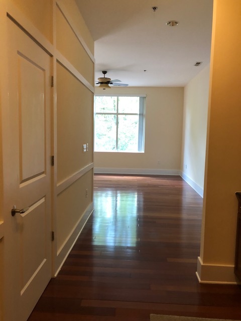 1 Bedroom in NoDa!