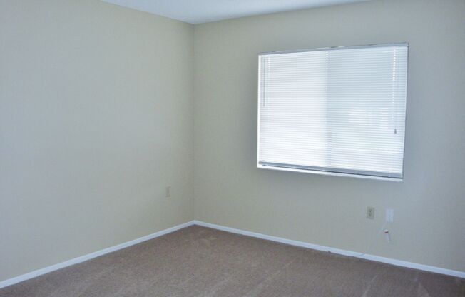 Condo in East Lake Woodlands