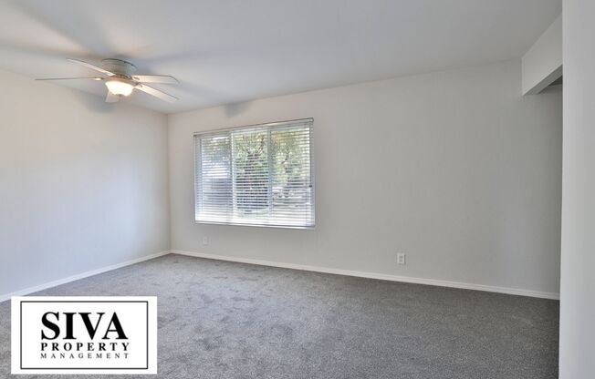 202 Litchi Grove Ct