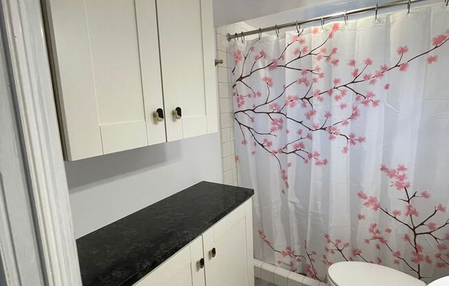 Studio, 1 bath, $1,225, Unit 1477