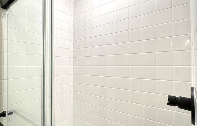 Studio, 1 bath, 254 sqft, $1,825, Unit 108