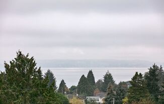 6041 Cali Unit 203- Morgan Junction | Spacious 2 Bed/2 Bath, W/D, Private Deck ~ Must See!