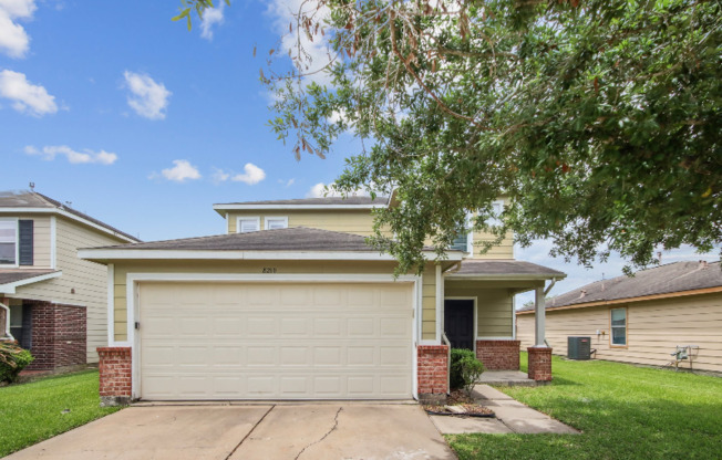 8210 RADL CT