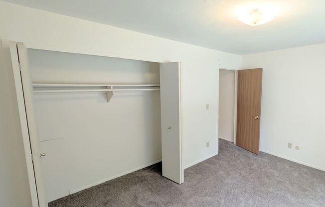 A white closet with a white door and a brown door.