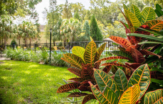 Garden Area at Fernwood Grove Apartments, Florida, 33614