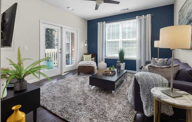 A living room with a grey rug and a purple couch.