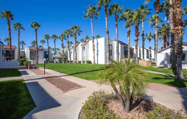 Landscaping at Townhomes on the Park in Phoenix Arizona