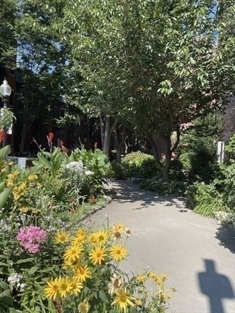 3 beds, 1.5 baths, 1,100 sqft, $5,795, Unit 18