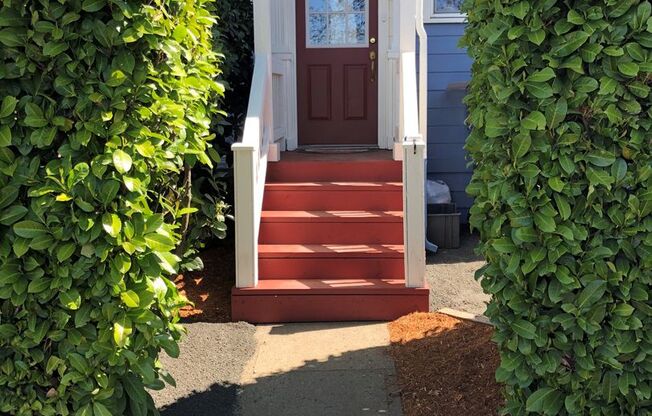 Beautiful Ground Level 1Bed/1Bath with outdoor space Close to Downtown Albany!
