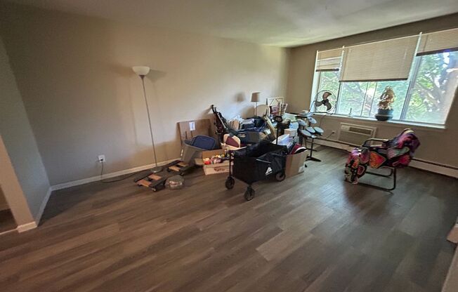 1 bed, 1 bath, $1,145, Unit 307