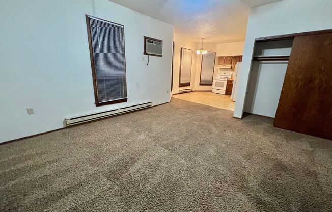 Studio, 1 bath, $605, Unit Apt 1