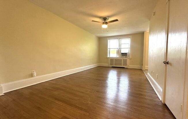 Studio, 1 bath, 450 sqft, $1,045, Unit Apt 407