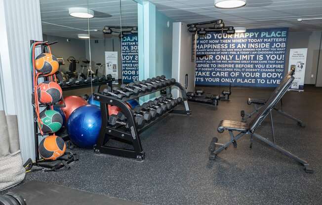 a large fitness room with weights and other exercise equipment