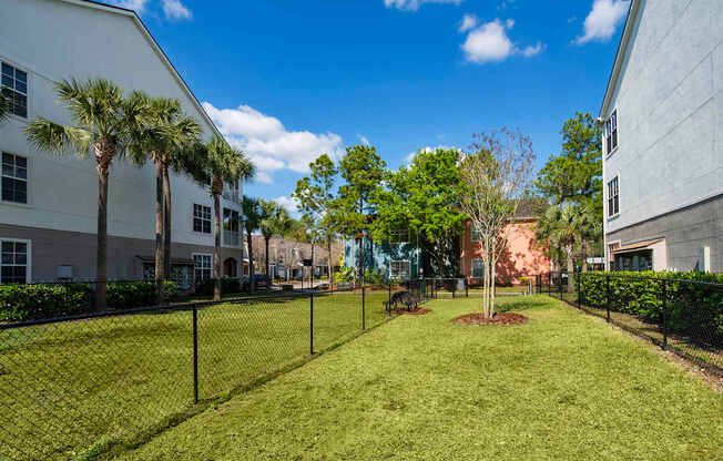 the preserve at ballantyne commons apartments courtyard with grass