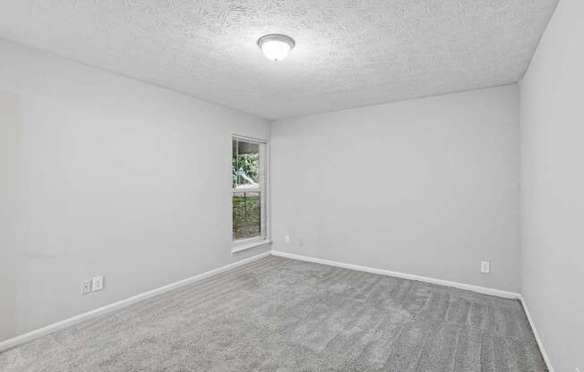 A room with a carpeted floor and a window showing greenery outside.