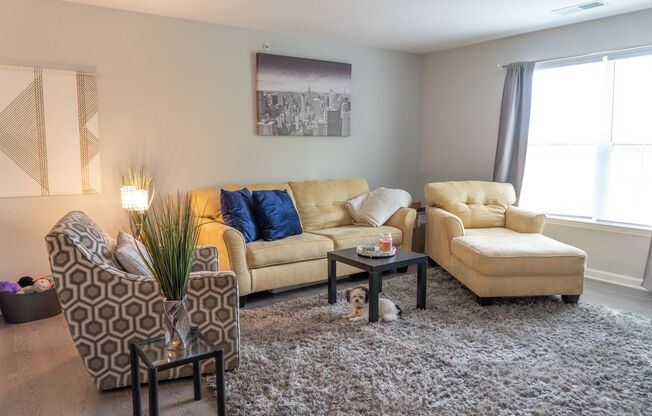 2 beds, 2 baths, 1,172 sqft, $1,600, Unit 1919A-JS