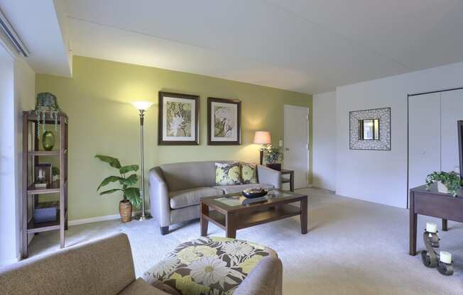 Apartments in Harrisburg | Twin Lakes Apartments | a living room with green walls and white carpet