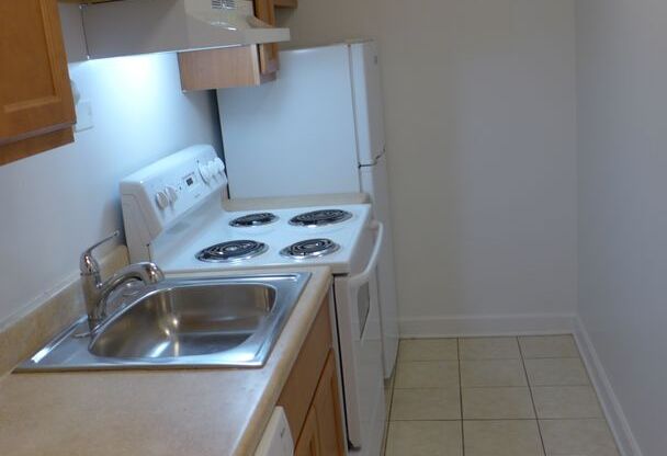 Studio, 1 bath, 450 sqft, $1,295, Unit 307