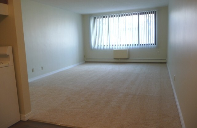 1 bed, 1 bath, 650 sqft, $1,295, Unit 3029305