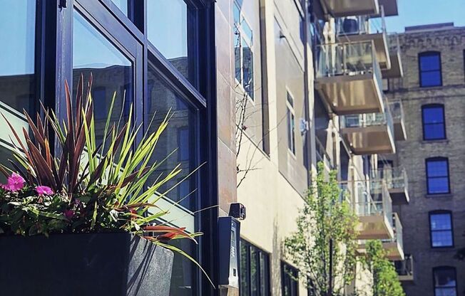 1 bed, 1 bath, 747 sqft, $1,800, Unit 810