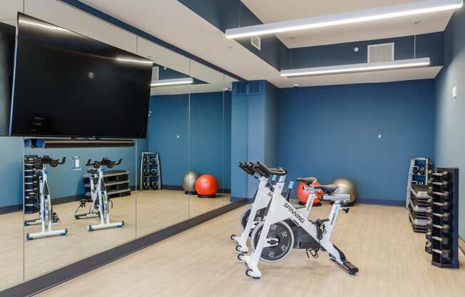 Private Fitness Studio with Training Technology
