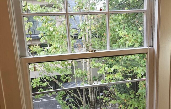 Studio, 1 bath, 337 sqft, $1,249, Unit 25