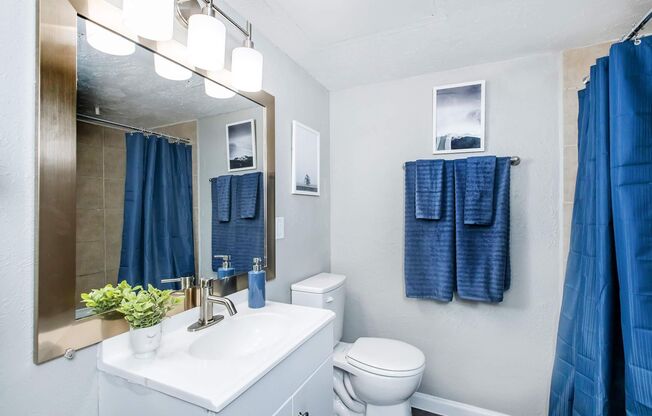 1 bed, 1 bath, 651 sqft, $1,255