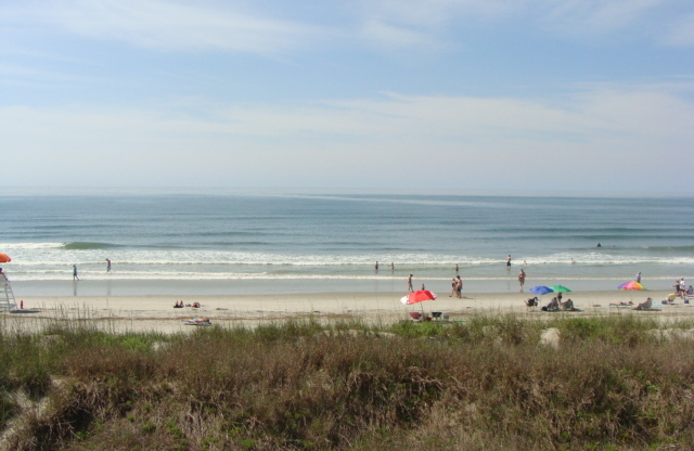 Oceanfront Pet-friendly Winter rental! Available from January 1 through March 31, 2025.