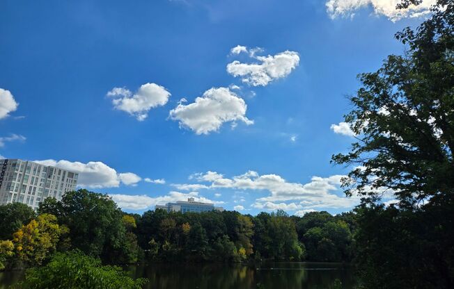 Studio, 1 bath, 500 sqft, $2,100, Unit 616