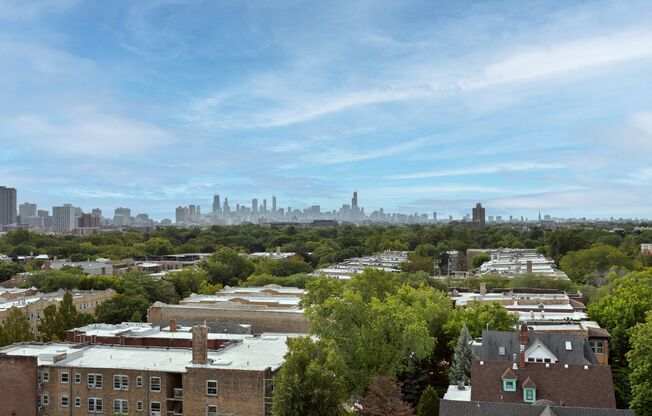 Studio, 1 bath, 221 sqft, $1,650, Unit 1009