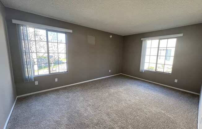 A room with grey carpet and two windows.
