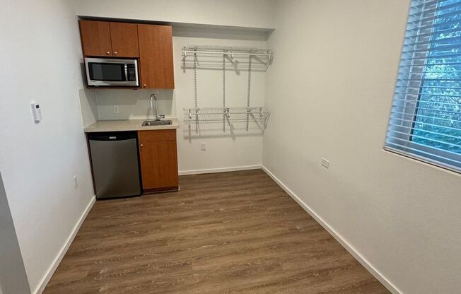 Studio, 1 bath, 175 sqft, $1,250, Unit 4102