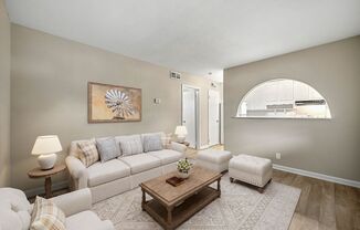 Balfour 296
